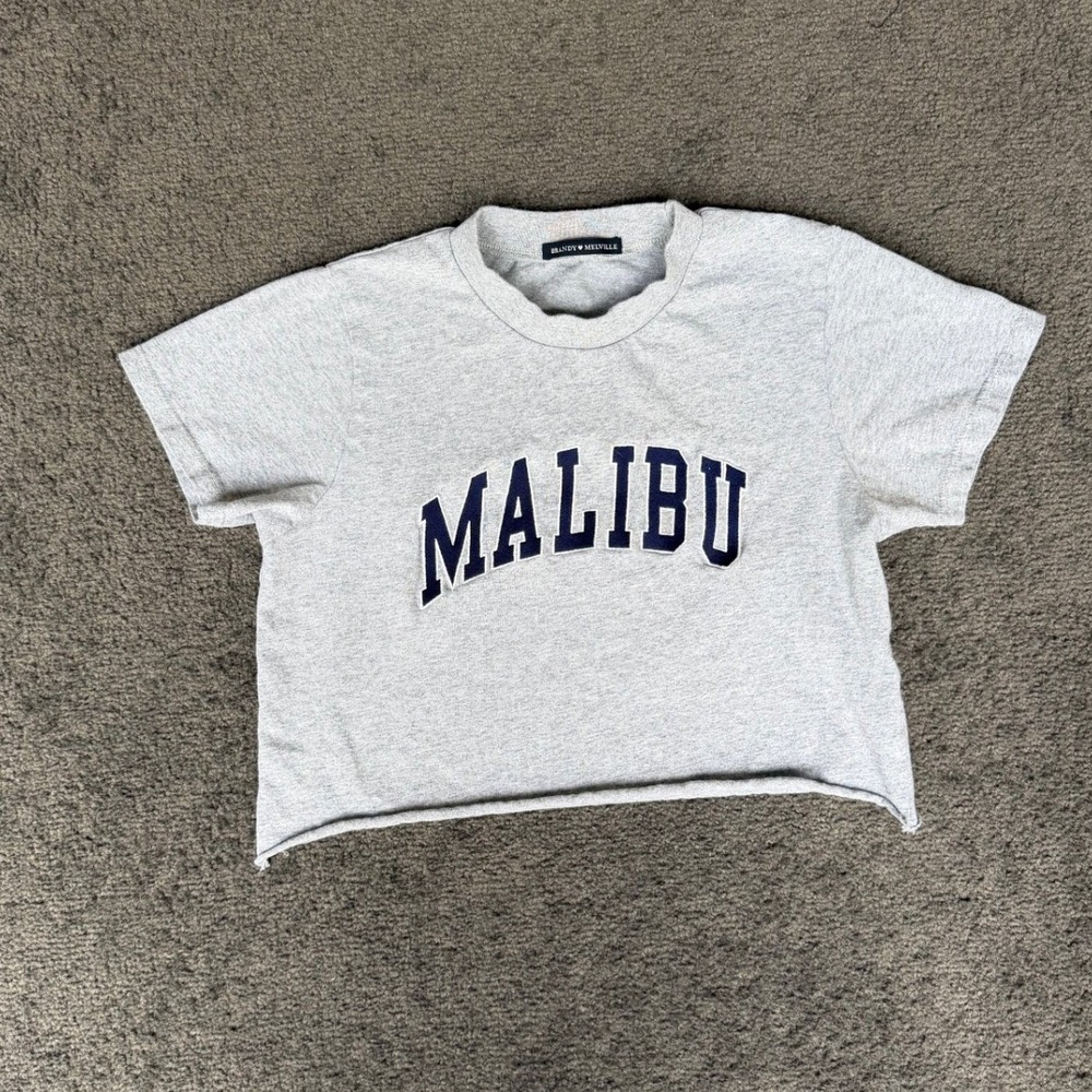 Brandy Melville Malibu Gray Cropped Graphic T-Shirt ML106MM-Z280 Womens OS